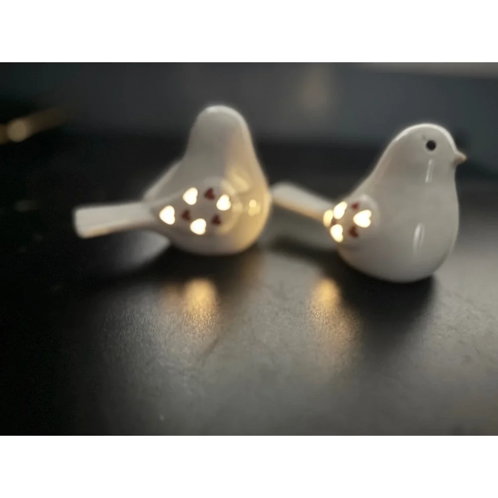 Ceramic Light Up Valentine Love Birds White Heart Cutout LED Figurines Set of 2